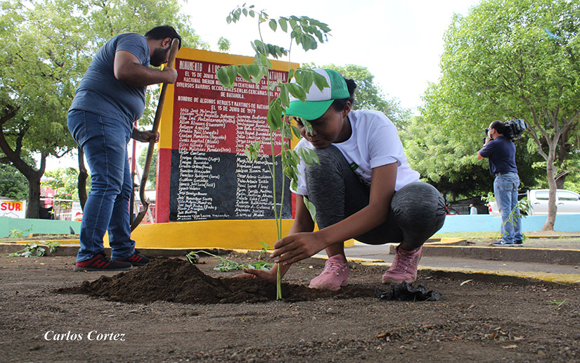 reforestacion-batahola-js